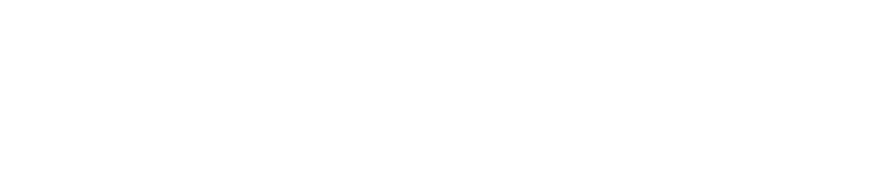 BEVERLY HILLS POLO CLUB